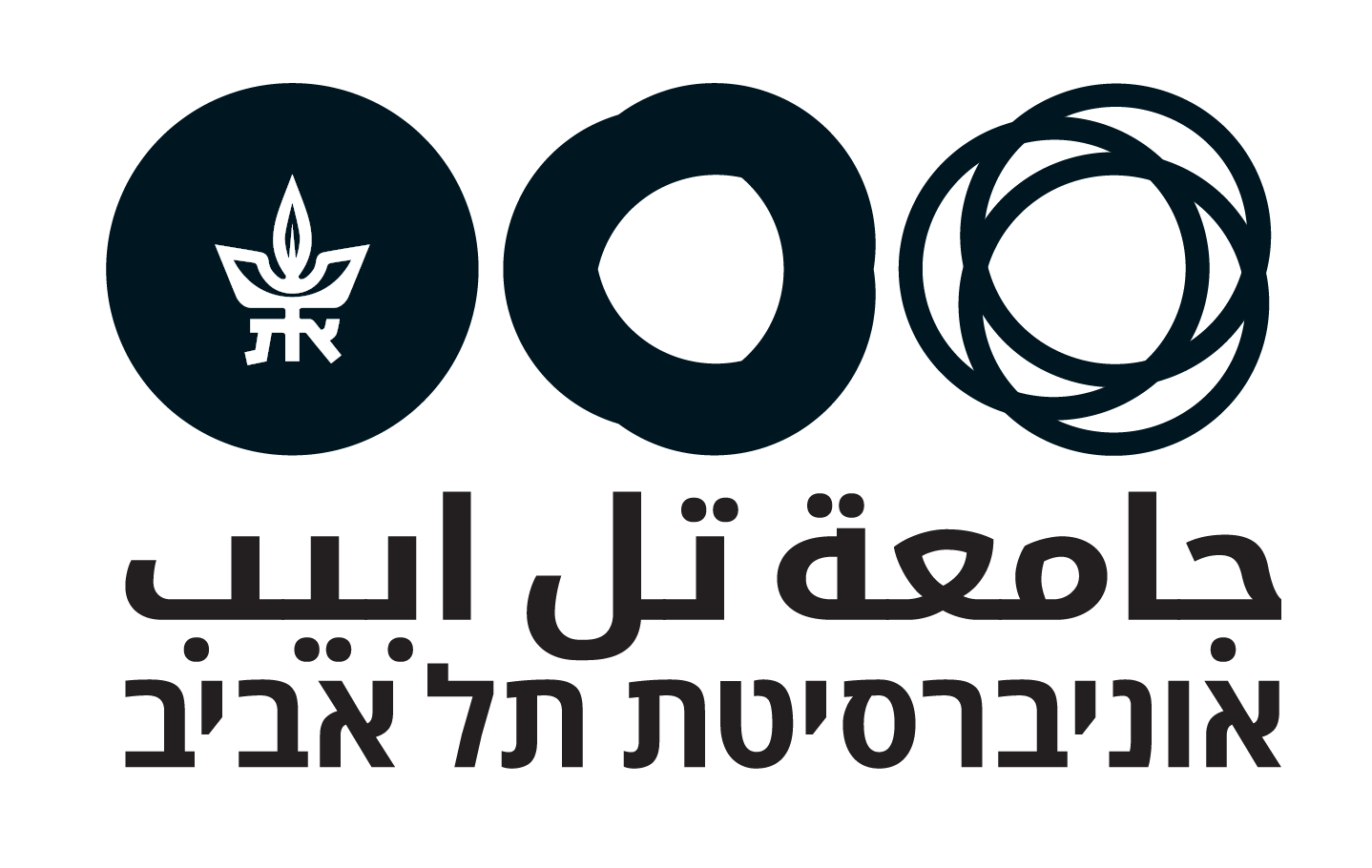 המרכז הישראלי למדע אזרחי