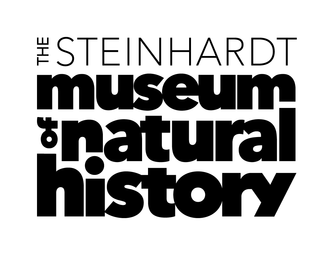 The Steinhardt Museum of Natural History