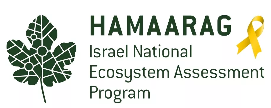 HaMaarag