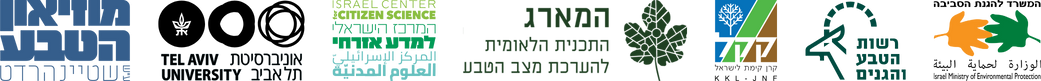 לוגואים