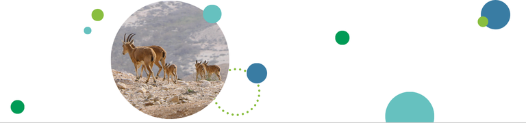 מדריך להוראה בחוץ - באנר