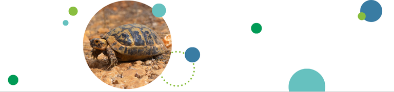 מיפוי מדע אזרחי לתוכנית הלימודים - באנר