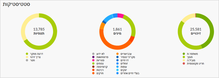 סטטיסטיקות של פרויקט