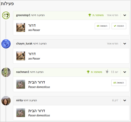 פעילות זיהויים בתצפית