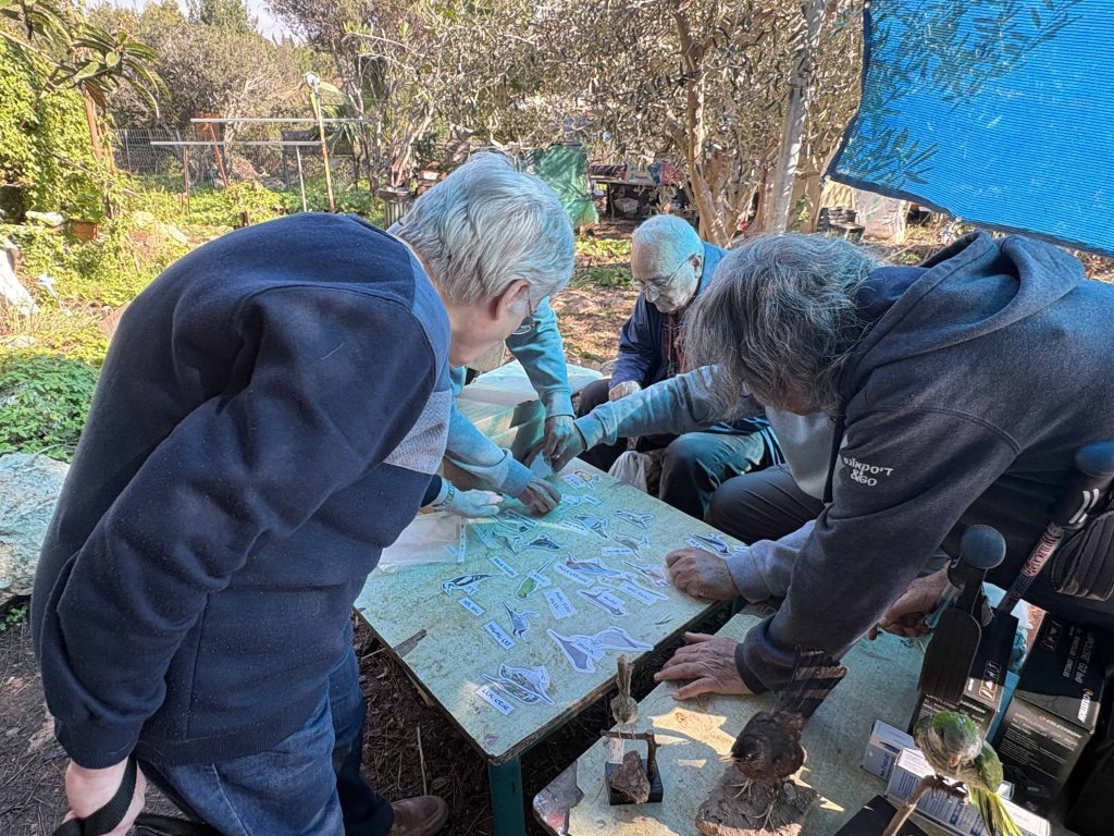 פעילות ספירה בגינת השבשבת בחיפה עם השגרירה מור מצליח