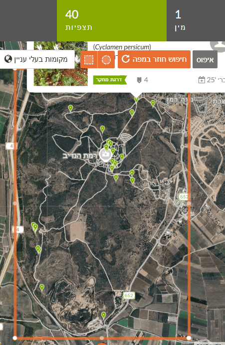 תצפיות רקפת מצויה ברמת הנדיב