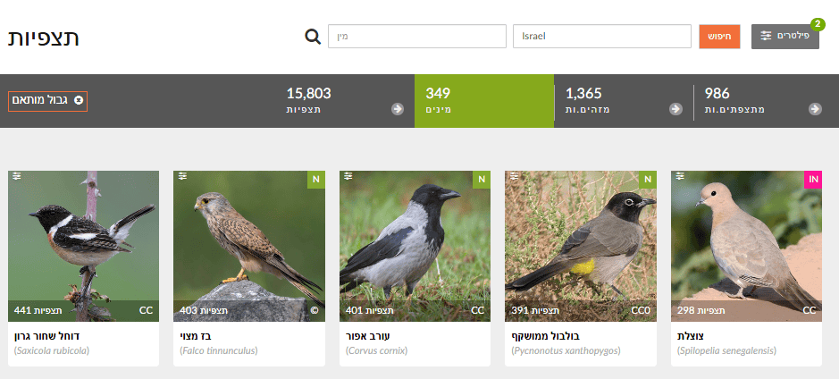 תצפיות של עופות בחורף